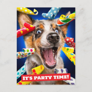 Postal Sopladores de fiesta para perros felices