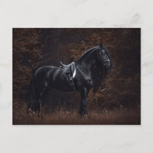Postal Sorprendente elegante vestido deportivo Stallion f