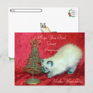 Postal Sorpresa de los Navidades de Savannah - gato balin