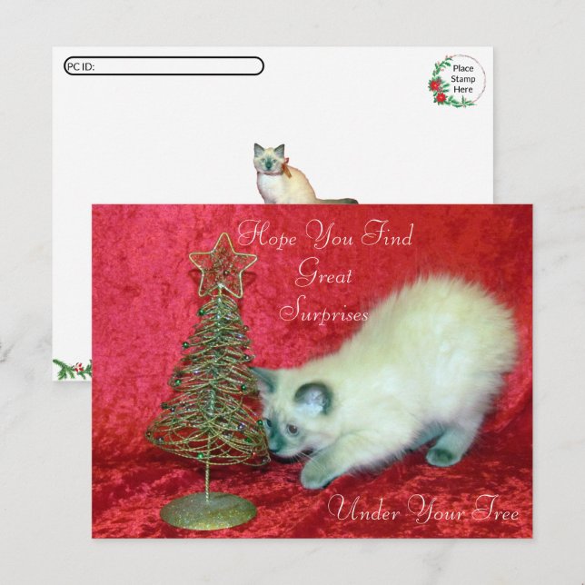 Postal Sorpresa de los Navidades de Savannah - gato balin (Anverso / Reverso)