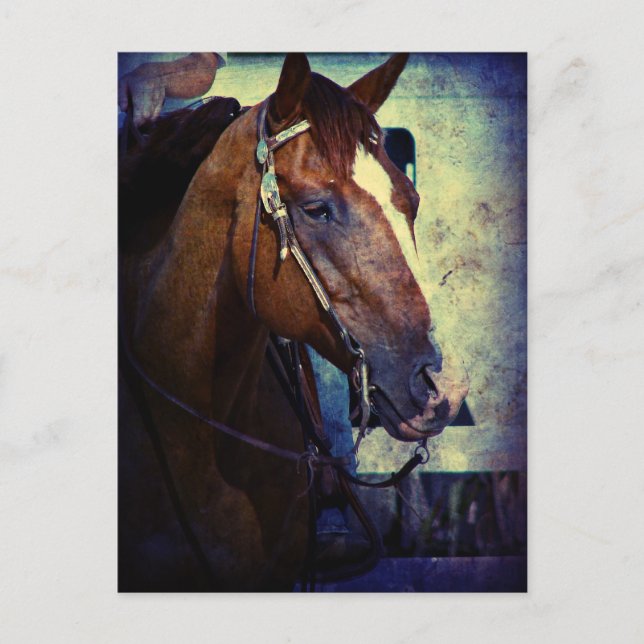 Postal Sorrel Grunge Occidental (Anverso)