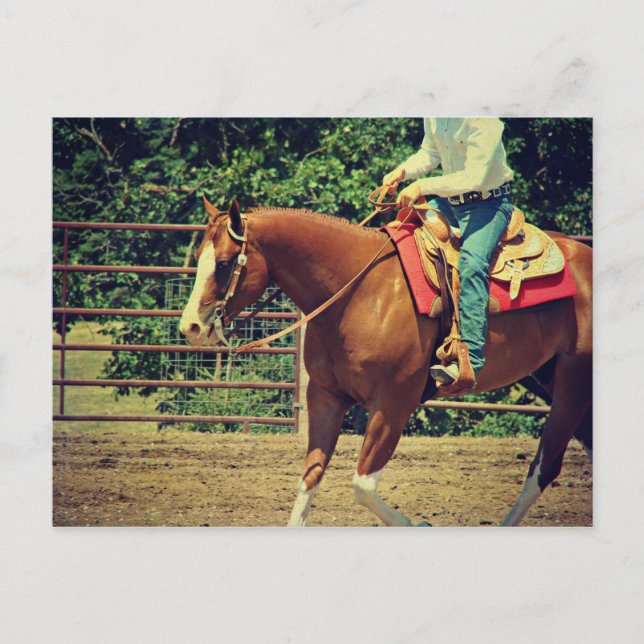 Postal Sorrel occidental (Anverso)