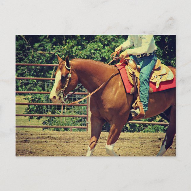 Postal Sorrel occidental (Anverso)