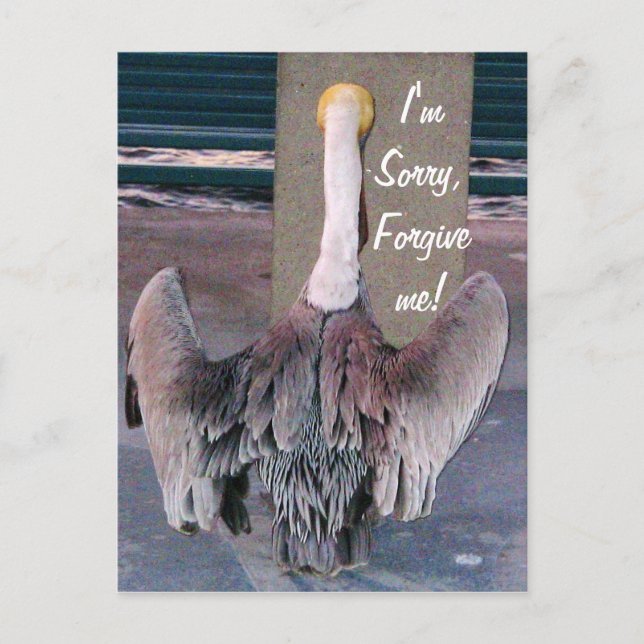 Postal Sorry_ Postcard (Anverso)