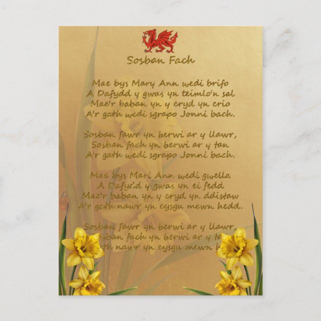 Postal Sosban Fach Welsh Song (Anverso)