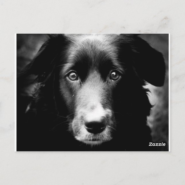 Postal Soul Eyes (Reverso)