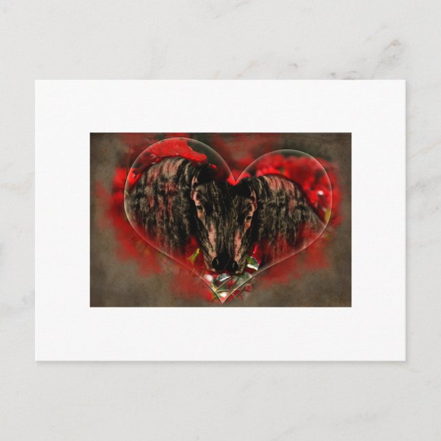 Postal Soul Mates - Postcard (Anverso)