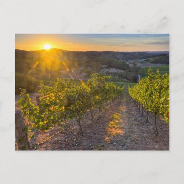 Postal South Australia, Adelaide Hills, Summertown. (Anverso)