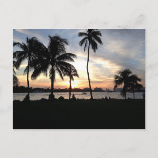 Postal South Beach, Miami Palm Trees en Sunset Postcard