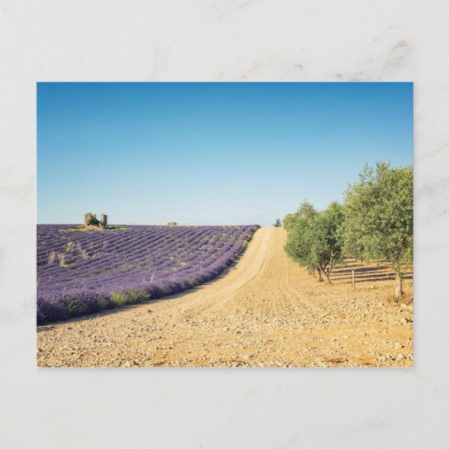 Postal South of France (Anverso)