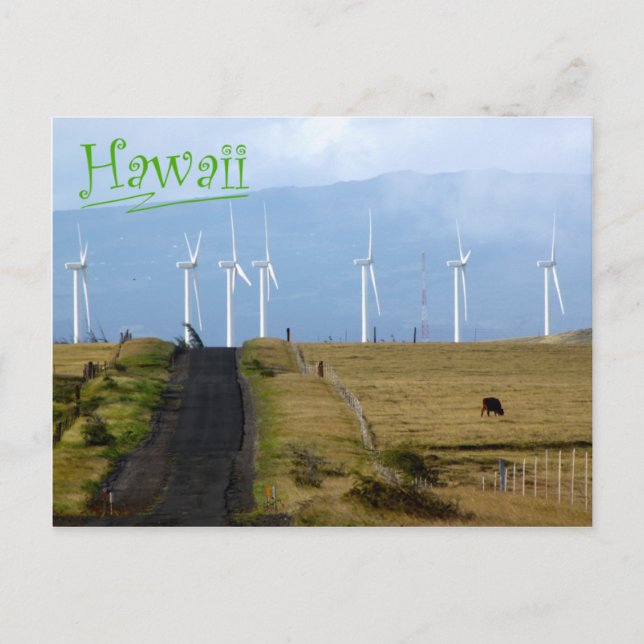 Postal South Point, Hawaii (Anverso)