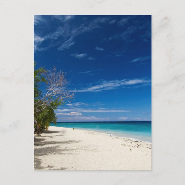 Postal South Sea Island Beach, Fiji (Anverso)