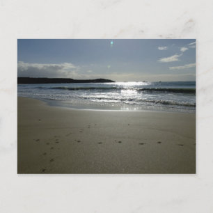 Postal Southend Sparkle