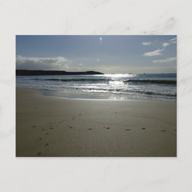 Postal Southend Sparkle (Anverso)