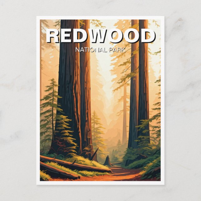Postal Souvenir del parque nacional Sunset Redwood (Anverso)