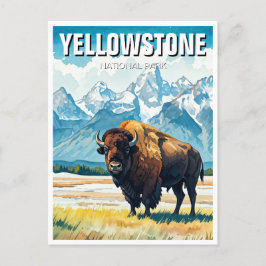 Postal Souvenir del Parque Nacional Yellowstone