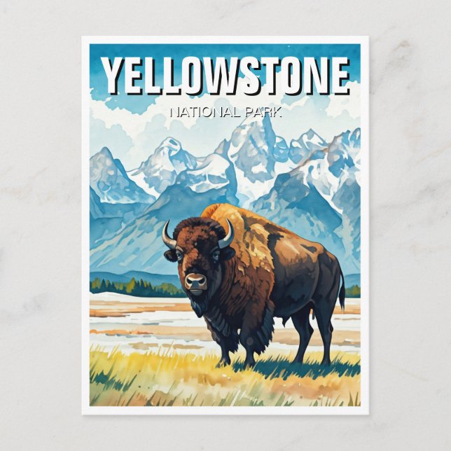 Postal Souvenir del Parque Nacional Yellowstone (Anverso)