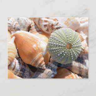 Postal Souvenirs de playa