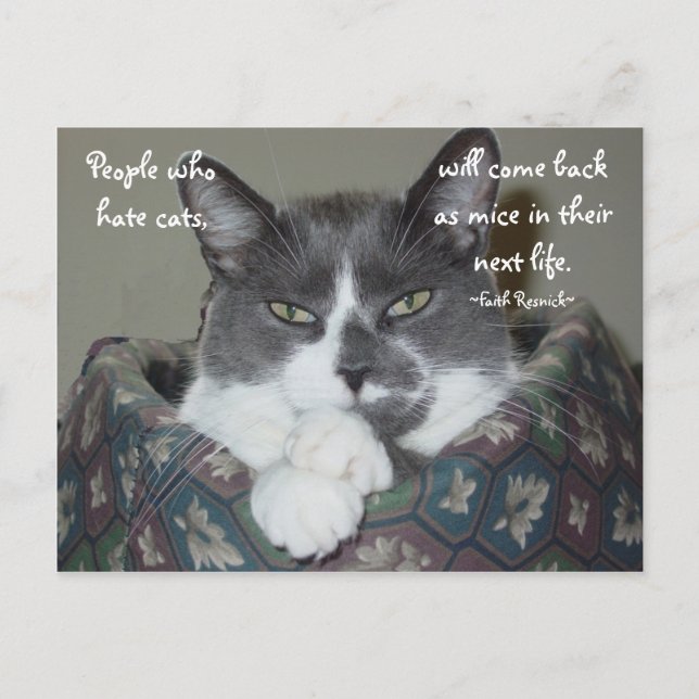 Postal Soy Cat. (Anverso)