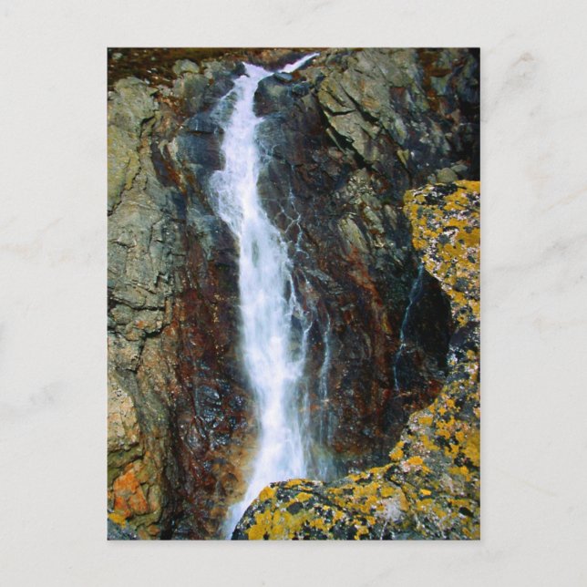 POSTAL SOY DEMASIADO SOLO EN EL MUNDO (Anverso)