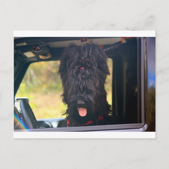 Postal Soy dueño de este jeep (Anverso)