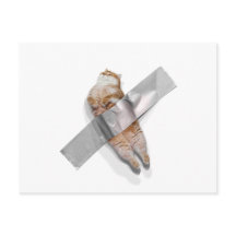 ¡Soy el mejor plátano!