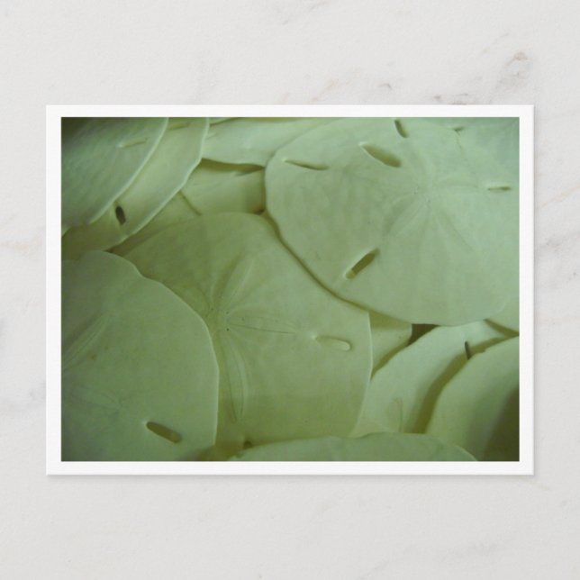 Postal ¡Soy rico! (Anverso)