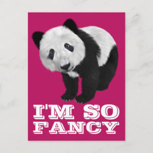 POSTAL SOY TAN FANCY PANDA OSAR POSTCARD