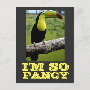 POSTAL SOY TAN FANCY TOUCAN POSTCARDS