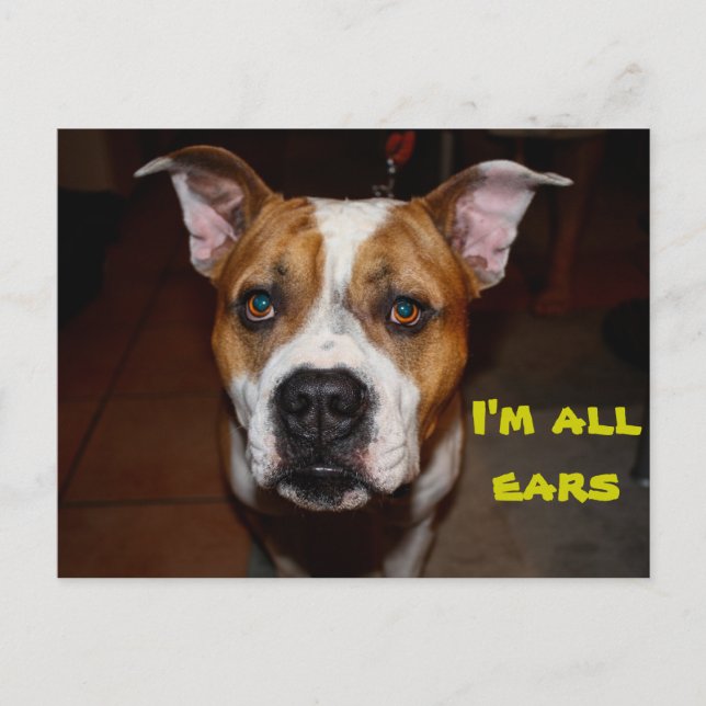 postal soy todo oídos (Anverso)