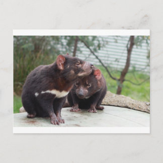 Postal Soy un pequeño diablo