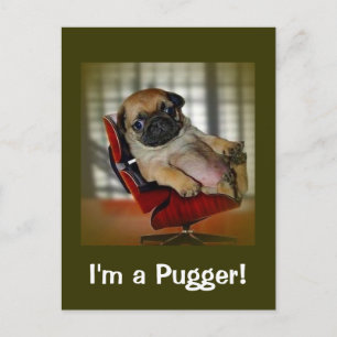 Postal ¡Soy un Pugger!