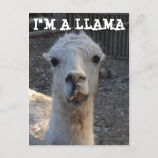 Postal Soy una Llama