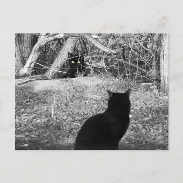 Postal ¿Soy yo? (Anverso)