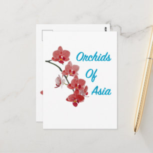 Postal Spa de día Orquídeas de Asia
