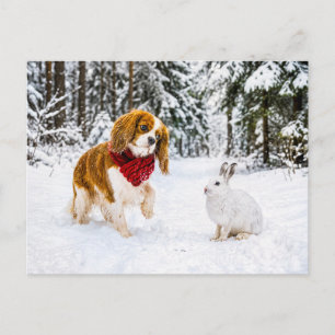 Postal Spaniel conoce a la liebre de nieve en el bosque i