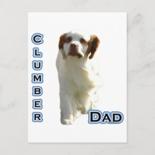 Postal Spaniel Dad 4