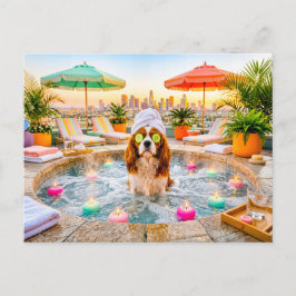 Postal Spaniel en piscina de bienestar