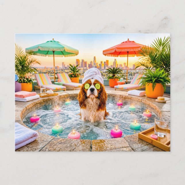 Postal Spaniel en piscina de bienestar (Anverso)