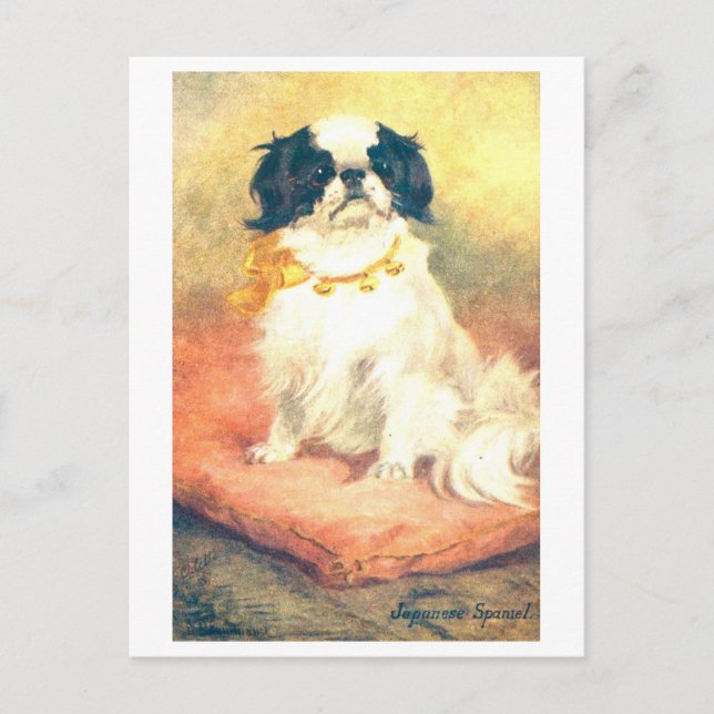 Postal Spaniel Japonés Antiguo (Anverso)