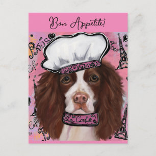 Postal Spaniel Springer Inglés