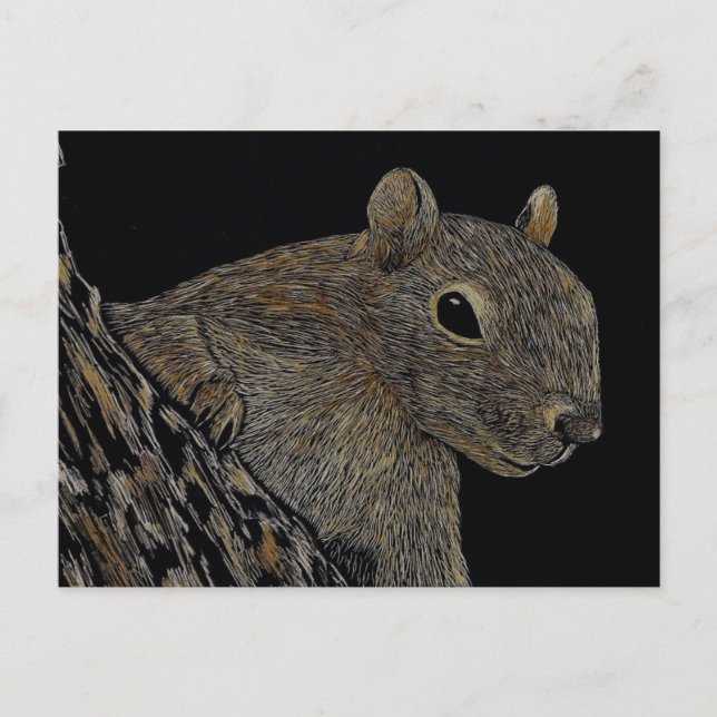 Postal Sparkie la ardilla (Anverso)