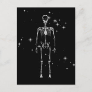 Postal Sparkling X-Ray Skeleton - B&W