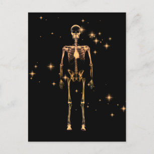 Postal Sparkling X-Ray Skeleton - Naranja