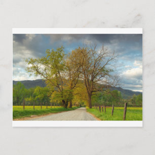Postal Sparks Lane Cades Cove