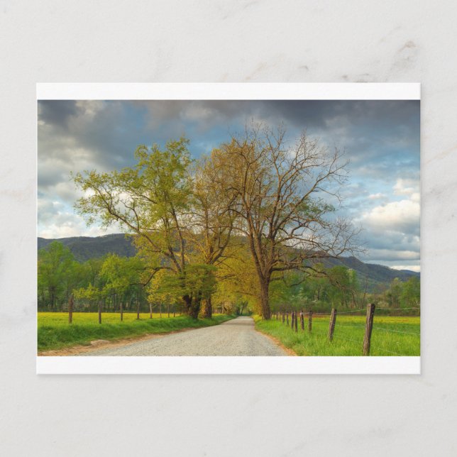 Postal Sparks Lane Cades Cove (Anverso)