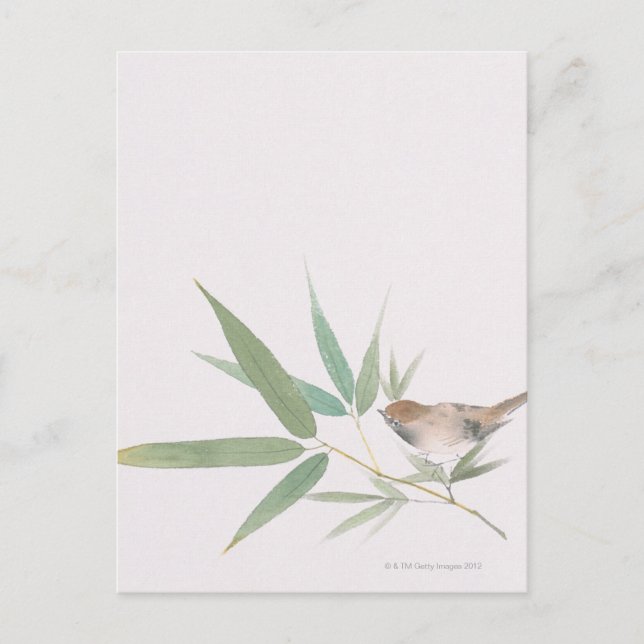 Postal Sparrow y Bamboo (Anverso)