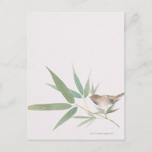 Postal Sparrow y Bamboo