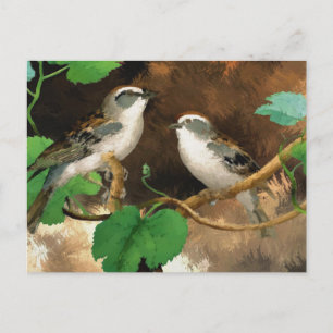 Postal Sparrows