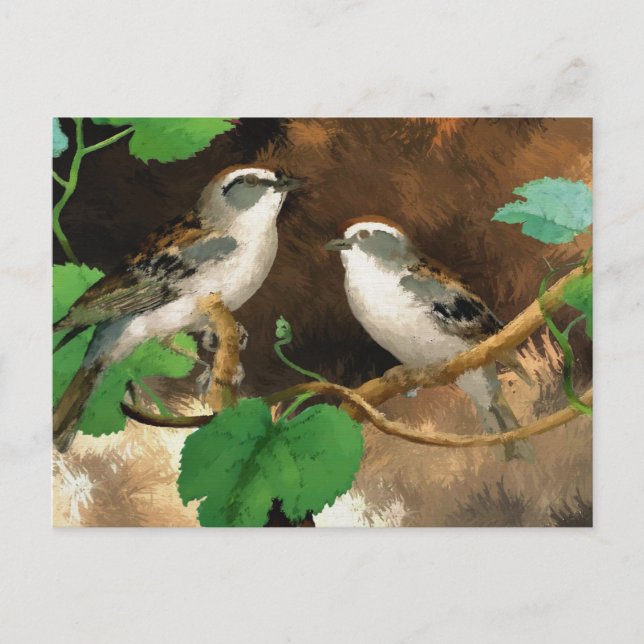 Postal Sparrows (Anverso)